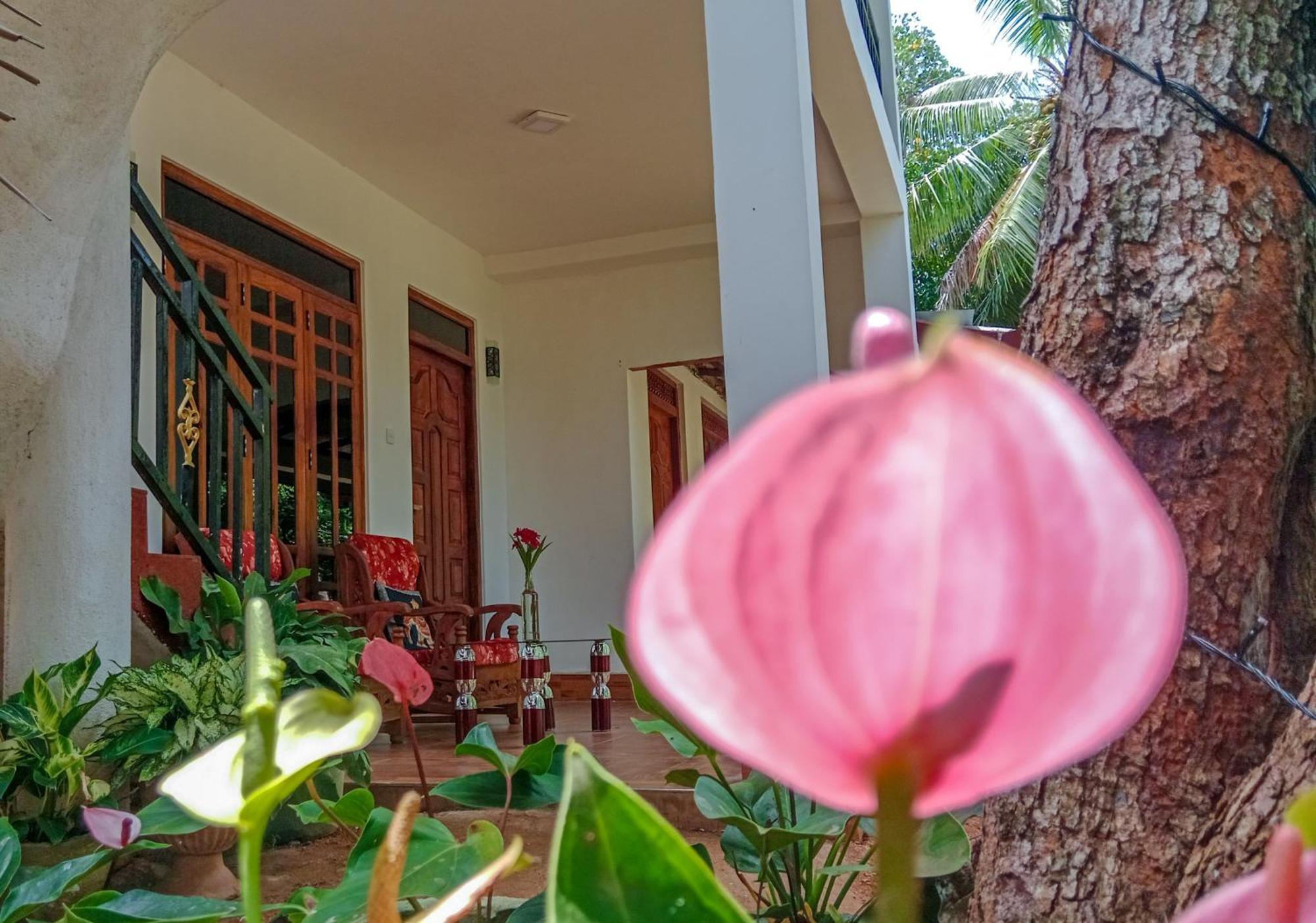 Gimhana Homestay سيغيرِيا المظهر الخارجي الصورة